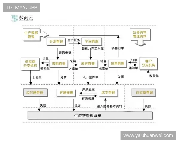 开云集团ZG如何通过供应链优化提升整体运营效率和客户满意度