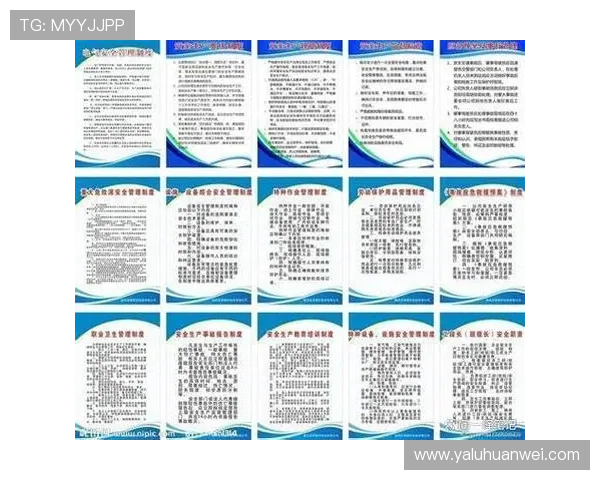 华娱娱乐公司在版权保护与内容安全方面的措施与实践